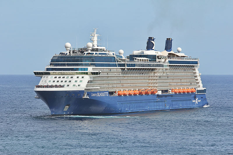 Celebrity Silhouette