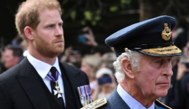 Could There Be a Prince Harry and King Charles Reunion?