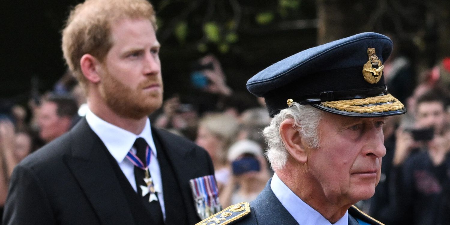 Could There Be a Prince Harry and King Charles Reunion?