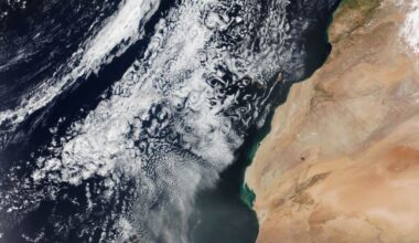 Using Computer Simulations to Tackle Climate Change