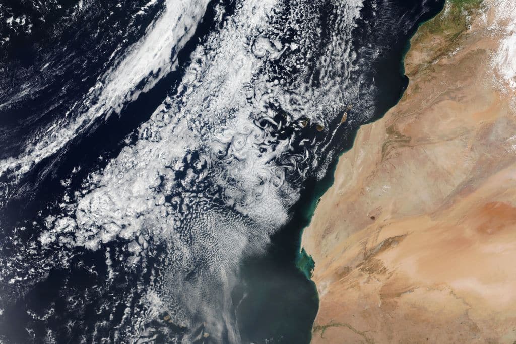 Using Computer Simulations to Tackle Climate Change