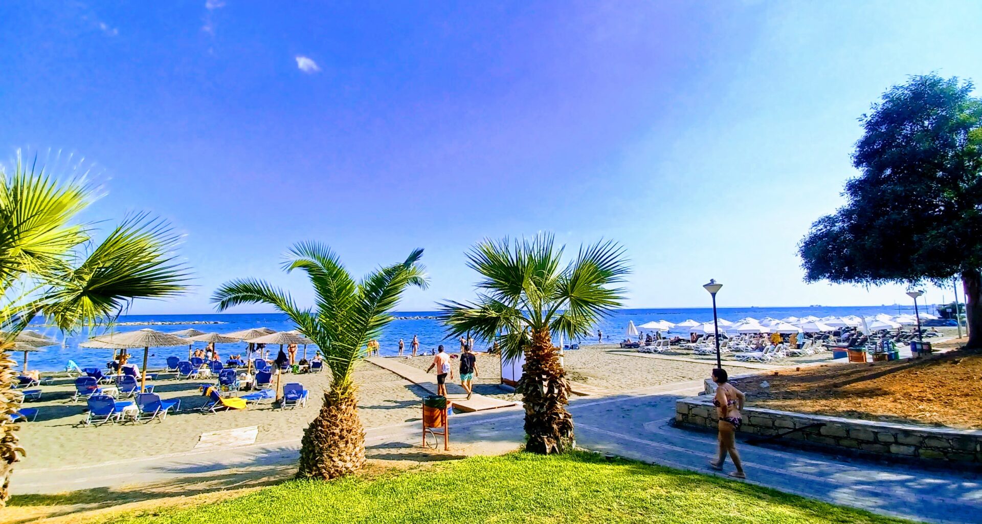 cover Cyprus Business Now: BoC, hotel workers, Larnaca marina, foreign investments
