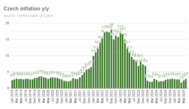 bne IntelliNews - Czech inflation confirmed at 2.9% y/y in June