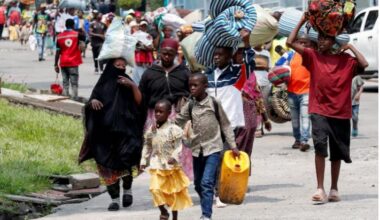 IOM, UNHCR launch ‘train-to-hire’ scheme to boost refugee employment