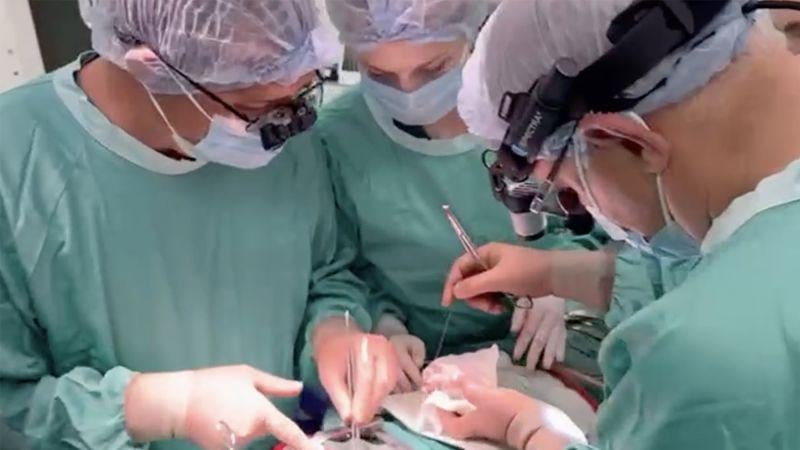 Ukrainian doctor drives a child’s heart through Russian attack to perform a life-saving transplant