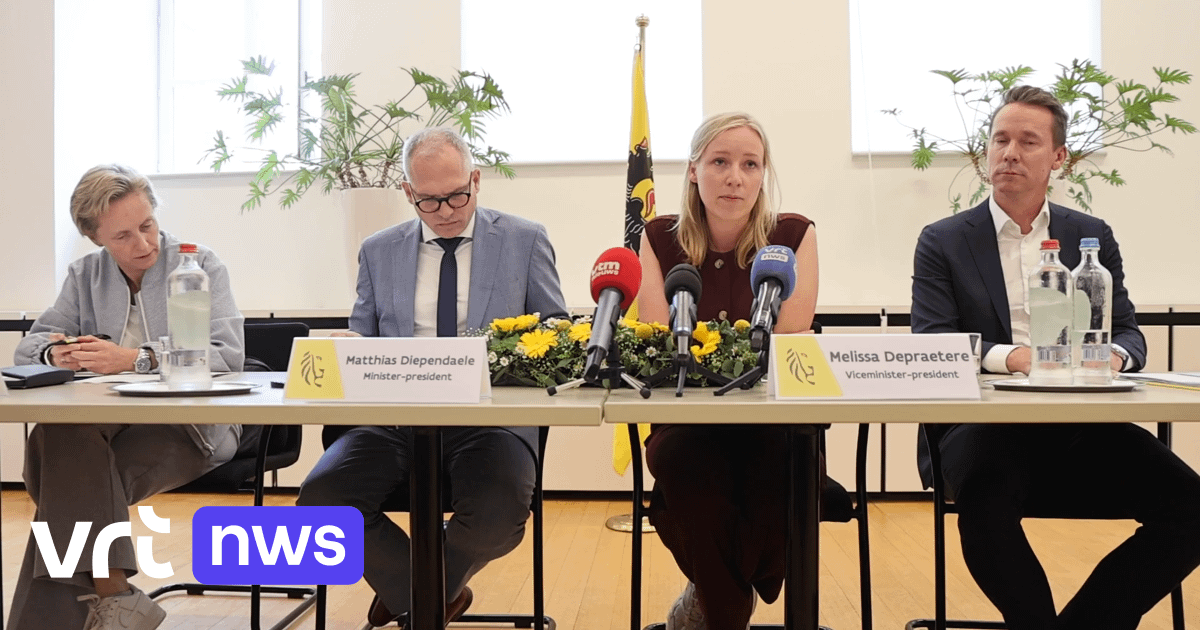 Gas duurder, elektriciteit goedkoper: dit staat in het klimaatplan van de Vlaamse regering | VRT NWS: nieuws