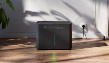 Home wizard Plug In Battery