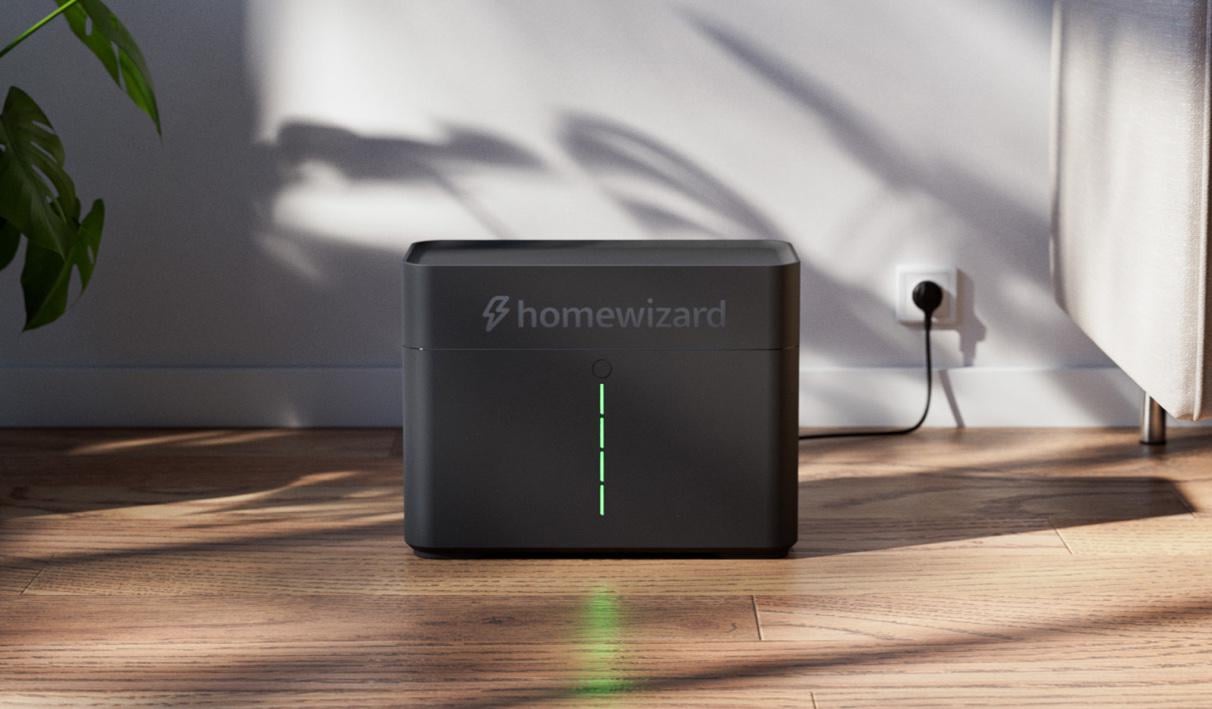 Home wizard Plug In Battery