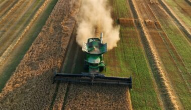 Wheat harvesting in field - © Maksim Safaniuk/Shutterstock