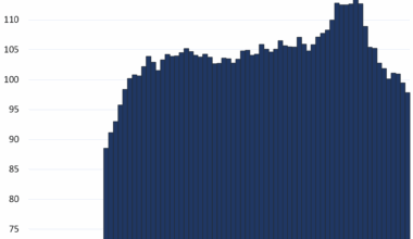 The Housing Markets of Europe: From Most Splendid Housing Bubbles to Go-Nowhere Markets