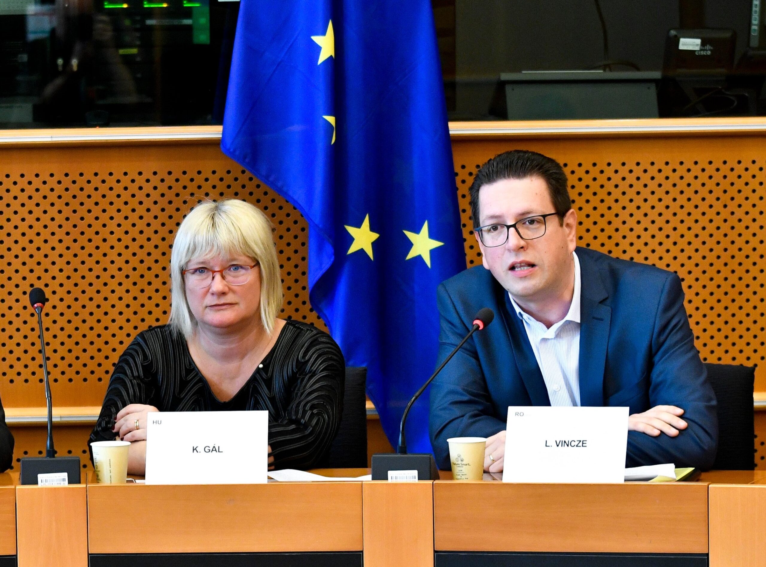 Two Hungarians to Head the EP Working Group on National Minorities