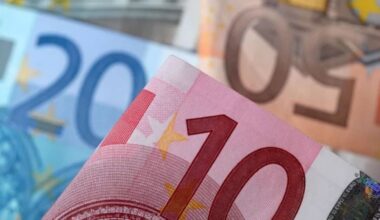 Euro Steady at $1.16, ECB to Pause Rate Cuts