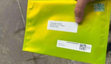 Ludiek bedankje zet gemeentehuizen van Tynaarlo tot Nijmegen op stelten