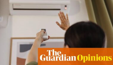 How do I feel about air conditioning? On the one hand, I’m extremely hot. On the other, it’s destroying the planet | Emma Beddington