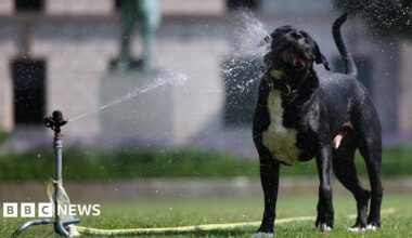 London swelters in heatwave as amber health alert extended