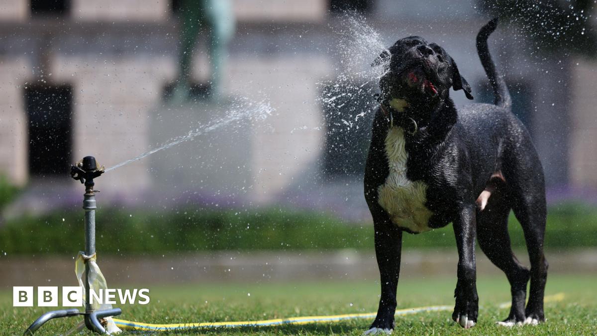 London swelters in heatwave as amber health alert extended