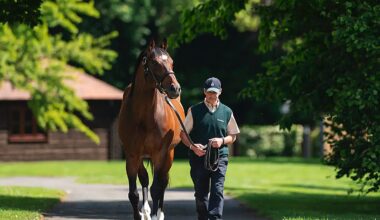 National Stakes Entry New Zealand Digs Deep for Curragh Maiden Triumph