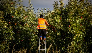 Worker exploitation in NZ primary industries damages sector’s brand – labour inspectorate
