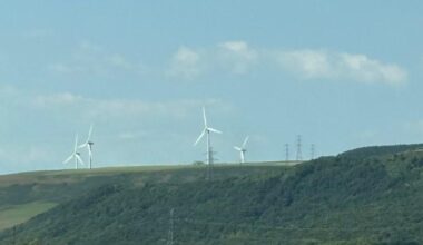 Renewable energy was winning so much that Big Oil needed Trump to use the full power of the government to try and stop it. Which they won’t