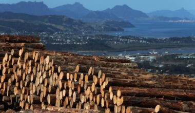 Northland business heavyweights pushing for $60b-a-year economy