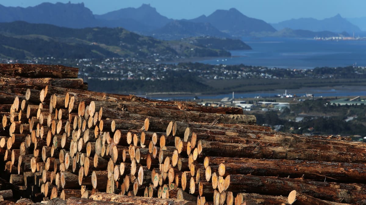 Northland business heavyweights pushing for $60b-a-year economy