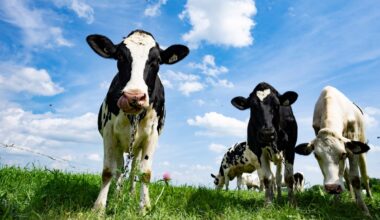 We must protect supply management from the trade war