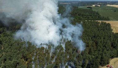 V Sasku aj Brandenbursku bojujú s lesným požiarom- Správy STVR