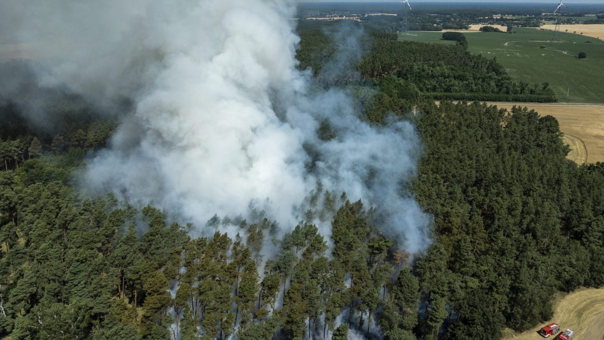 V Sasku aj Brandenbursku bojujú s lesným požiarom- Správy STVR