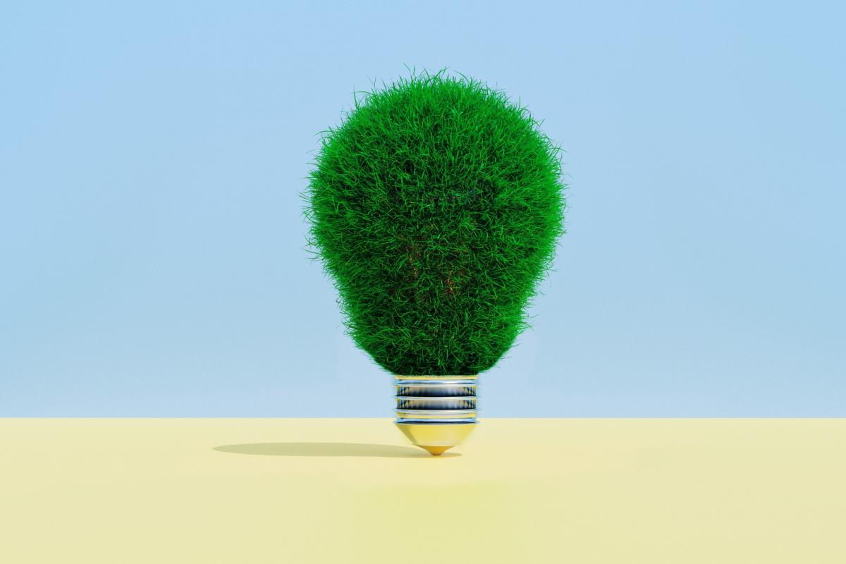 Commission launches consultation on EU Bioeconomy Strategy