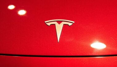 A Tesla logo seen on a Tesla Model 3 car.