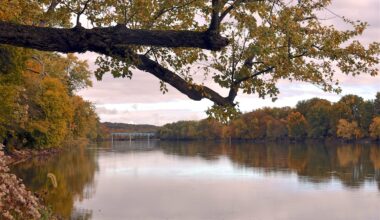 Hoosiers urge IDEM to protect state’s environment 