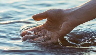 Call for evidence begins on EU Water Resilience Strategy