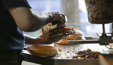 Turkey races to beat China in EU food status war amid kebab scrap with Germany