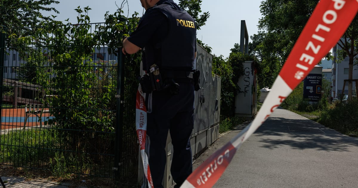 After Austria’s deadliest shooting, gun reform is no longer avoidable – POLITICO