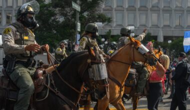 Protesters charged for assaulting LA Sheriff’s Department horses – NBC Los Angeles