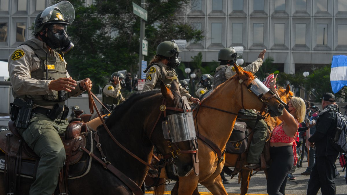 Protesters charged for assaulting LA Sheriff’s Department horses – NBC Los Angeles