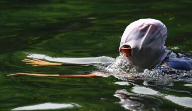 The Science of Sunwear