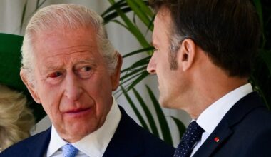 Macron says France and the UK will 'save Europe' even though Brexit was all about Britain leaving the EU