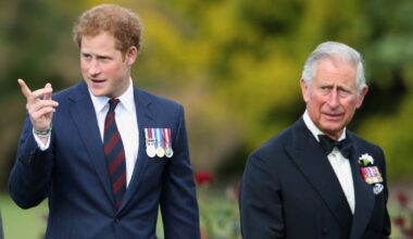 Prince Harry & King Charles III's Royal Peace Talk Reaction