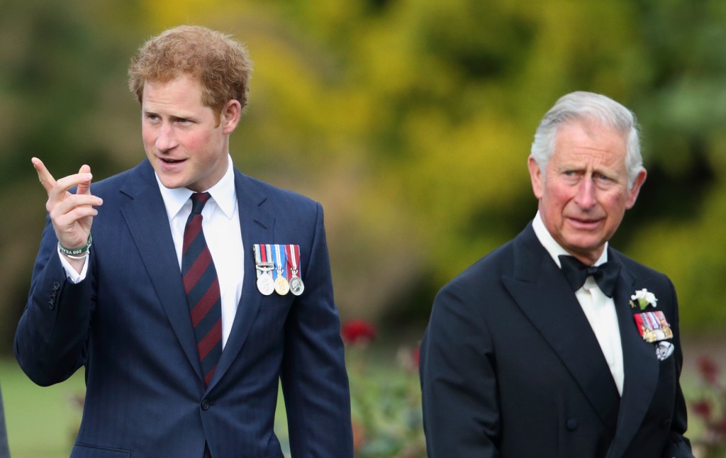 Prince Harry & King Charles III's Royal Peace Talk Reaction