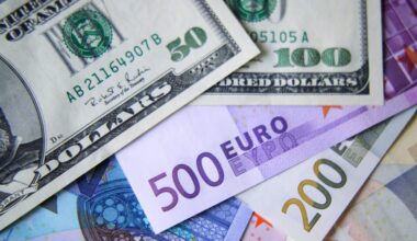 Dollar dominance: euro not ready to challenge USD, ECB official says