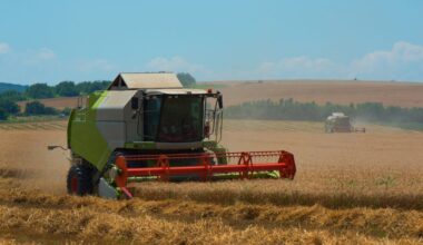 Denmark’s vision for EU agriculture is firmly focused on simplicity