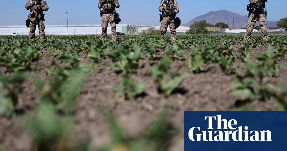 US farm workers on Ice raids in the fields: ‘hunted like animals’ | US immigration | The Guardian