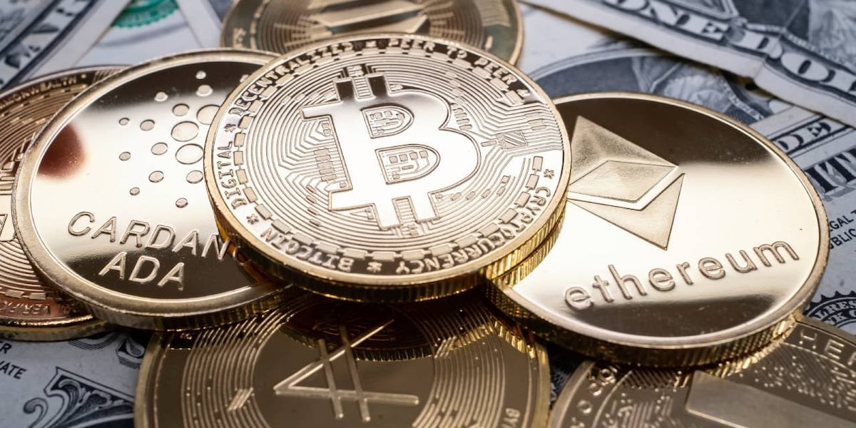 Mentor senior falls victim to multimillion dollar crypto scam