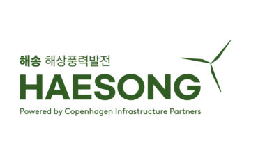 Haesong KEPCO