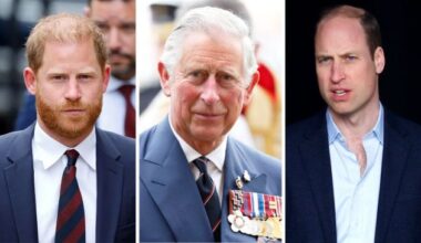 Will Prince William or Harry Inherit Princess Diana's Home? 