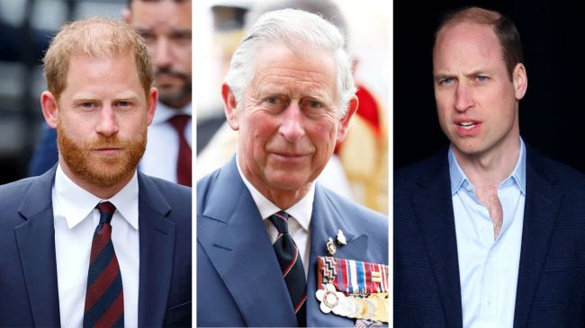 Will Prince William or Harry Inherit Princess Diana's Home? 