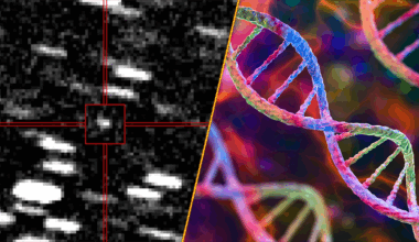 Interstellar object and DNA