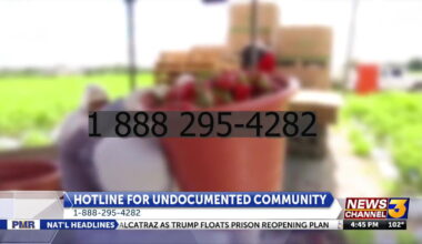 Toll-free hotline launches in Coachella Valley to support migrant communities