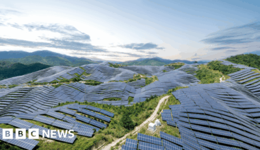 After Q1 fall, China sustains emission reductions over the first 5 months of 2025